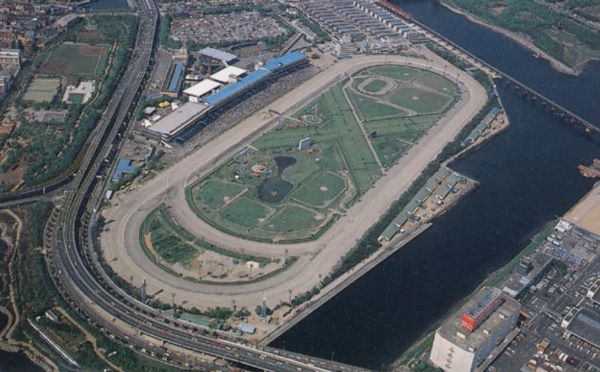 Oi racetrack.jpg
