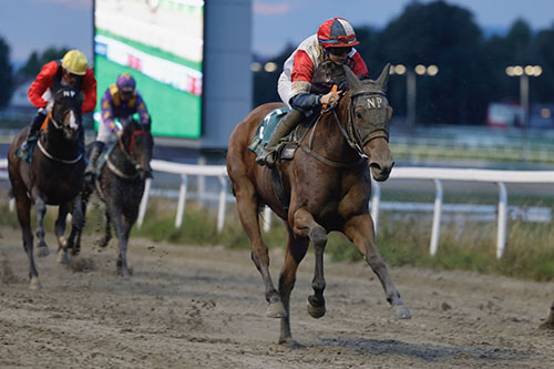 Miss Wintown_nett.jpg