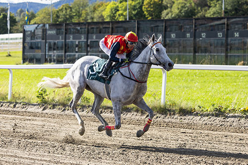 CARRARA OG MANUEL MARTINEZ nett.jpg