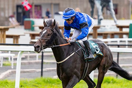 Rocks Giant ©hesteguiden.com RocksGiant_nett.jpg