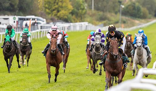 Want Want ©hesteguiden.com WantWant_ESt-0143.jpg