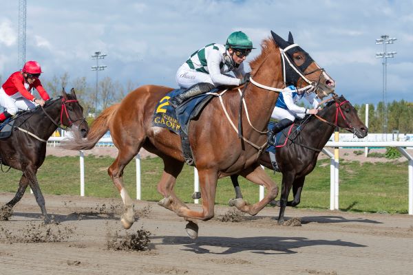 Hard One To Please 1641-X3 (1).jpg