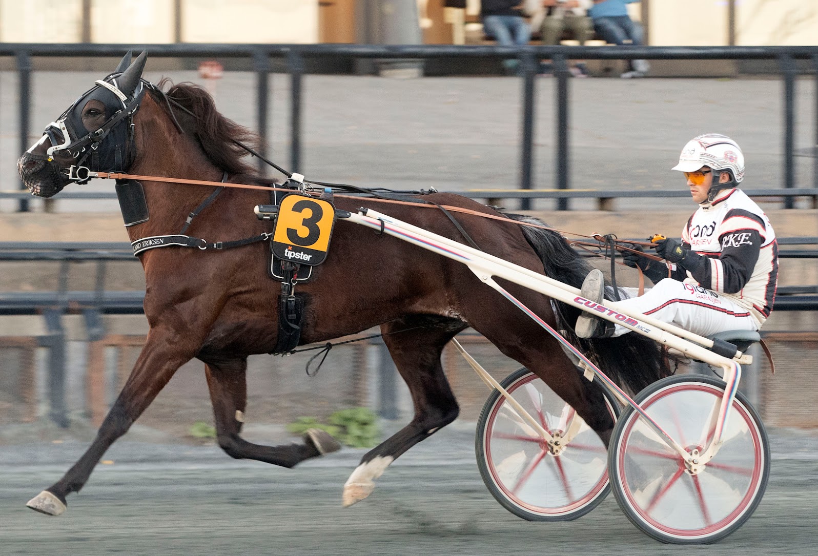 Milan og Johan Kringeland Eriksen. Foto: hesteguiden.com