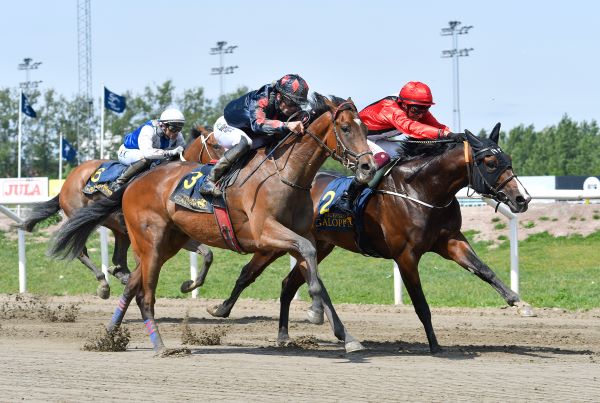 Be Curious 4619 (003).jpg