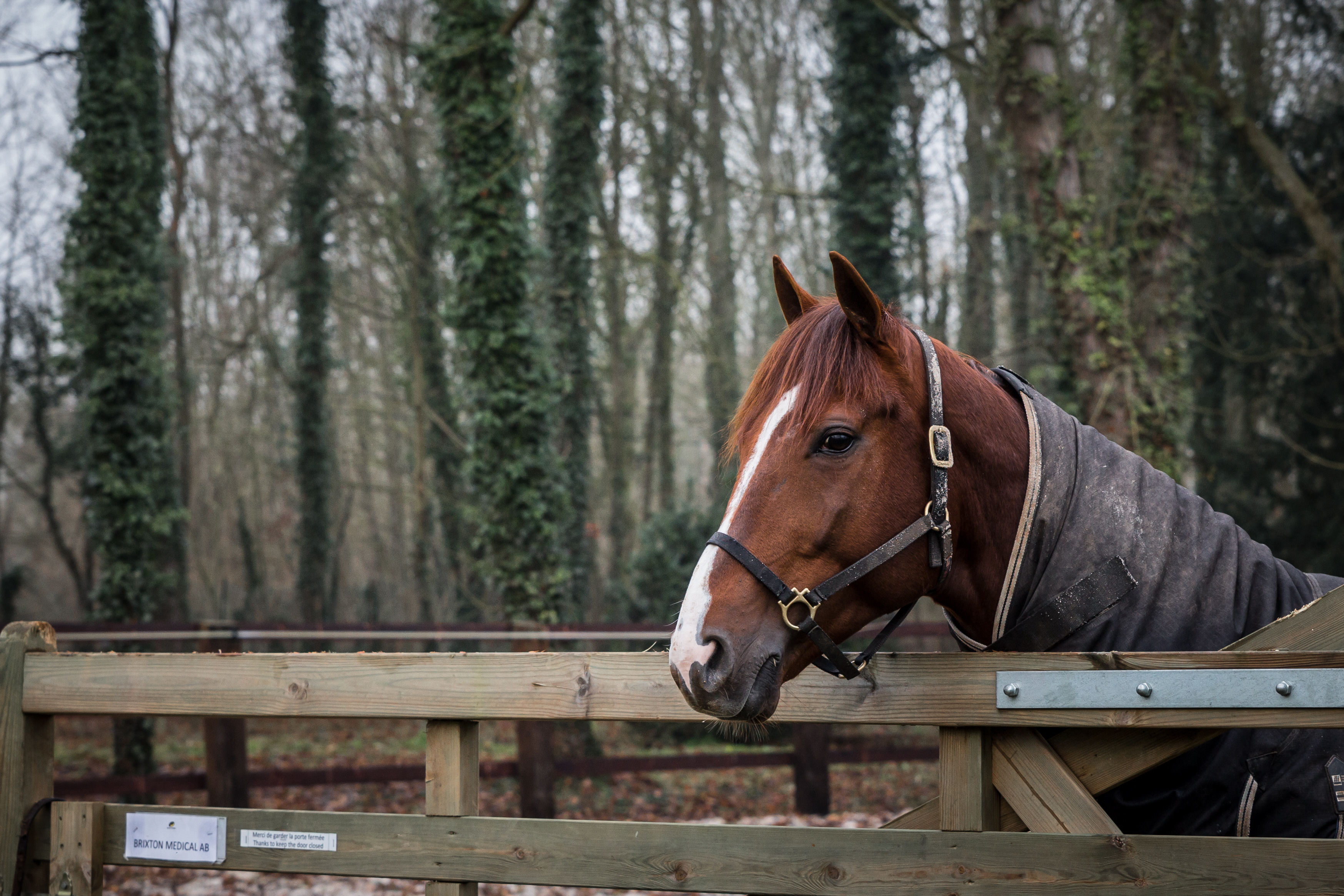 Foto: Eirik Stenhaug